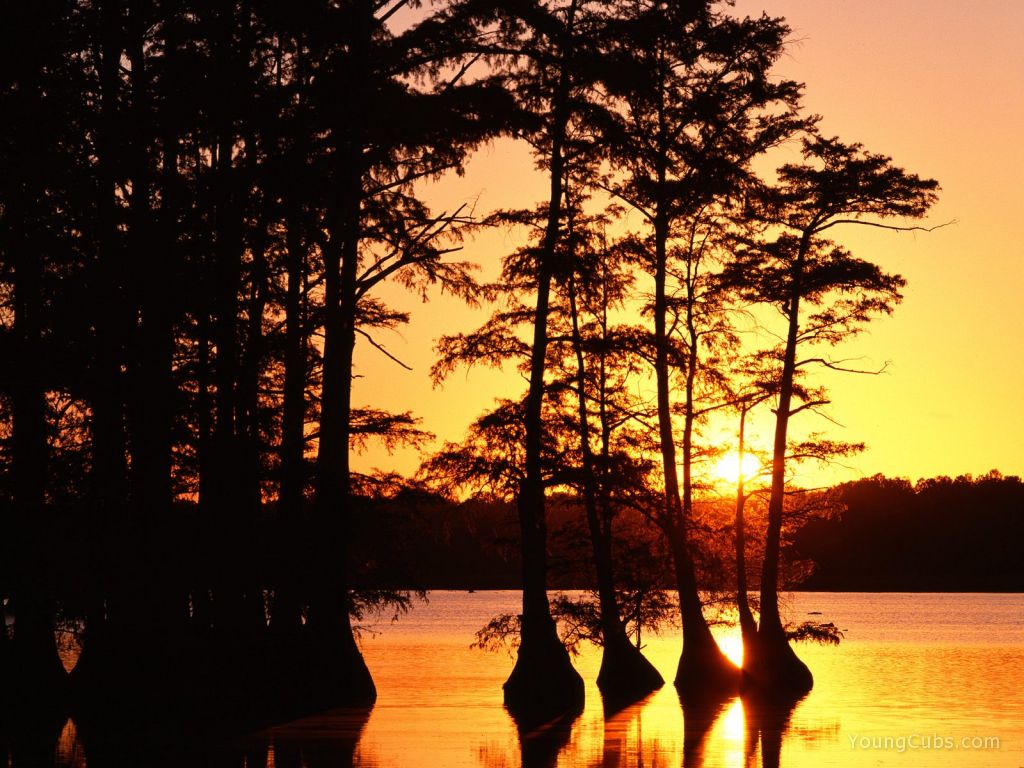 Sunset on Reelfoot Lake, Tennessee